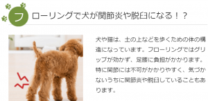 犬や猫などのペット用フローリング【ドッグランコーティング 